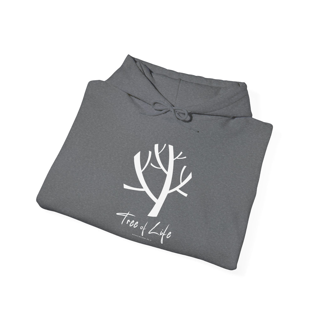 SweatShirt Hoodie For Christian Men Women Hooded Sweatshirt For Christian Mom Dad Apparel Christian Shirt Fashion Bible Verse Shirt
