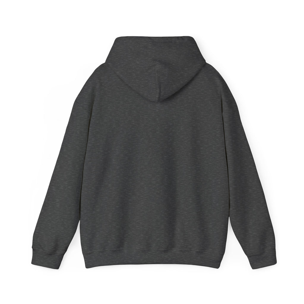 SweatShirt Hoodie For Christian Men Women Hooded Sweatshirt For Christian Mom Dad Apparel Christian Shirt Fashion Bible Verse Shirt