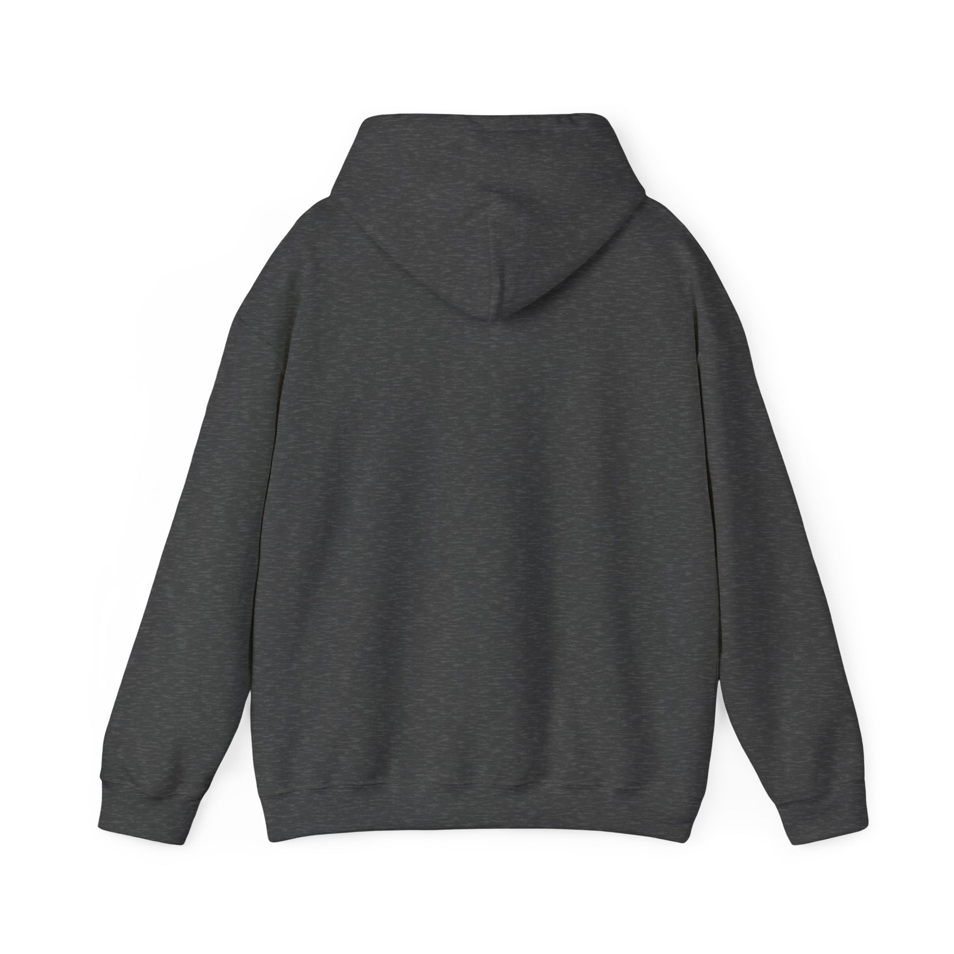 SweatShirt Hoodie For Christian Men Women Hooded Sweatshirt For Christian Mom Dad Apparel Christian Shirt Fashion Bible Verse Shirt