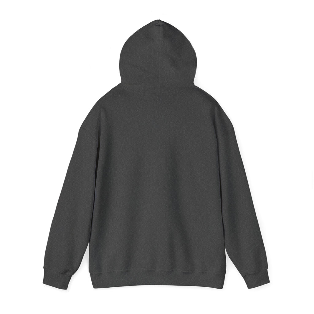 SweatShirt Hoodie For Christian Men Women Hooded Sweatshirt For Christian Mom Dad Apparel Christian Shirt Fashion Bible Verse Shirt