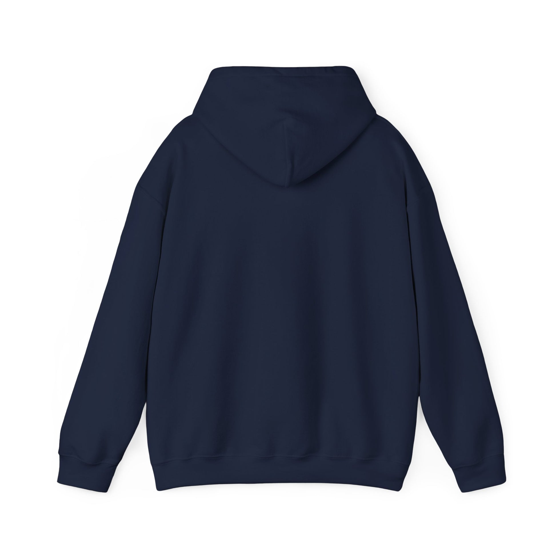 SweatShirt Hoodie For Christian Men Women Hooded Sweatshirt For Christian Mom Dad Apparel Christian Shirt Fashion Bible Verse Shirt