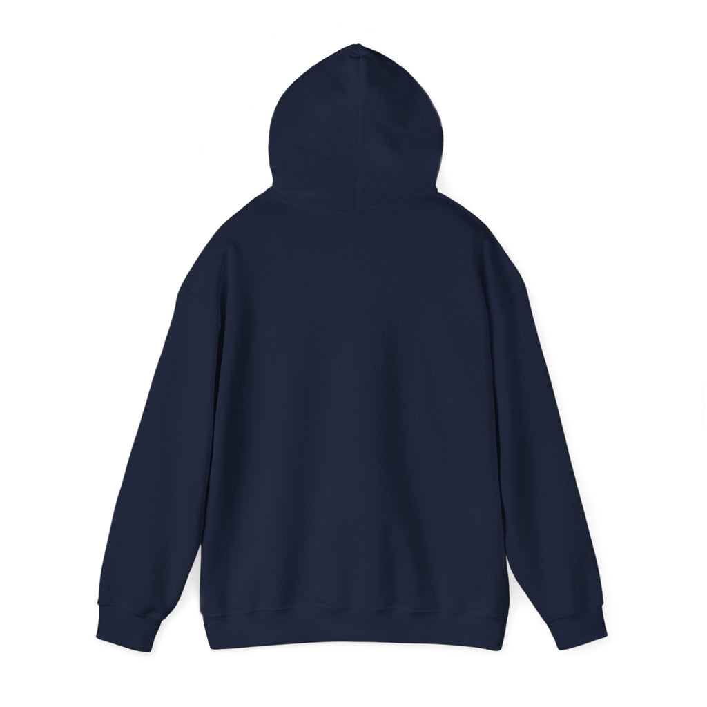 SweatShirt Hoodie For Christian Men Women Hooded Sweatshirt For Christian Mom Dad Apparel Christian Shirt Fashion Bible Verse Shirt