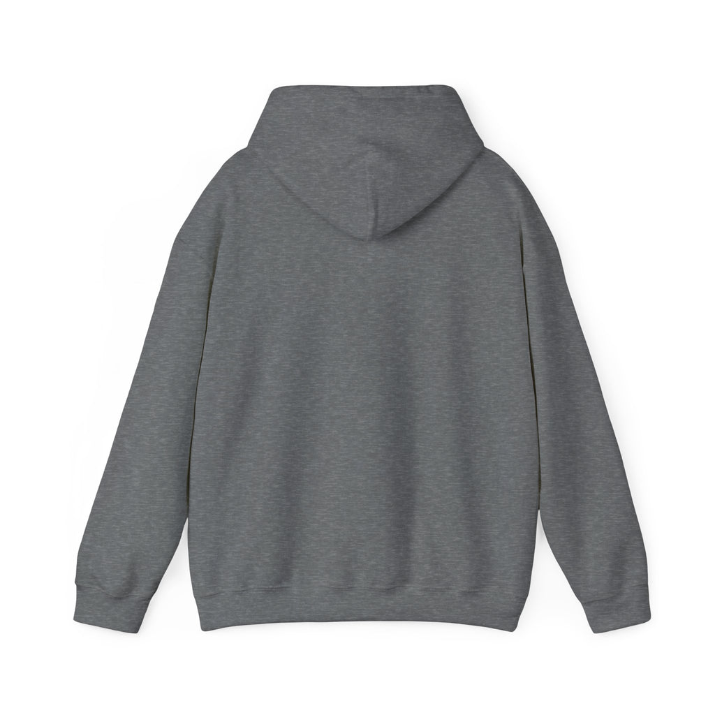 SweatShirt Hoodie For Christian Men Women Hooded Sweatshirt For Christian Mom Dad Apparel Christian Shirt Fashion Bible Verse Shirt