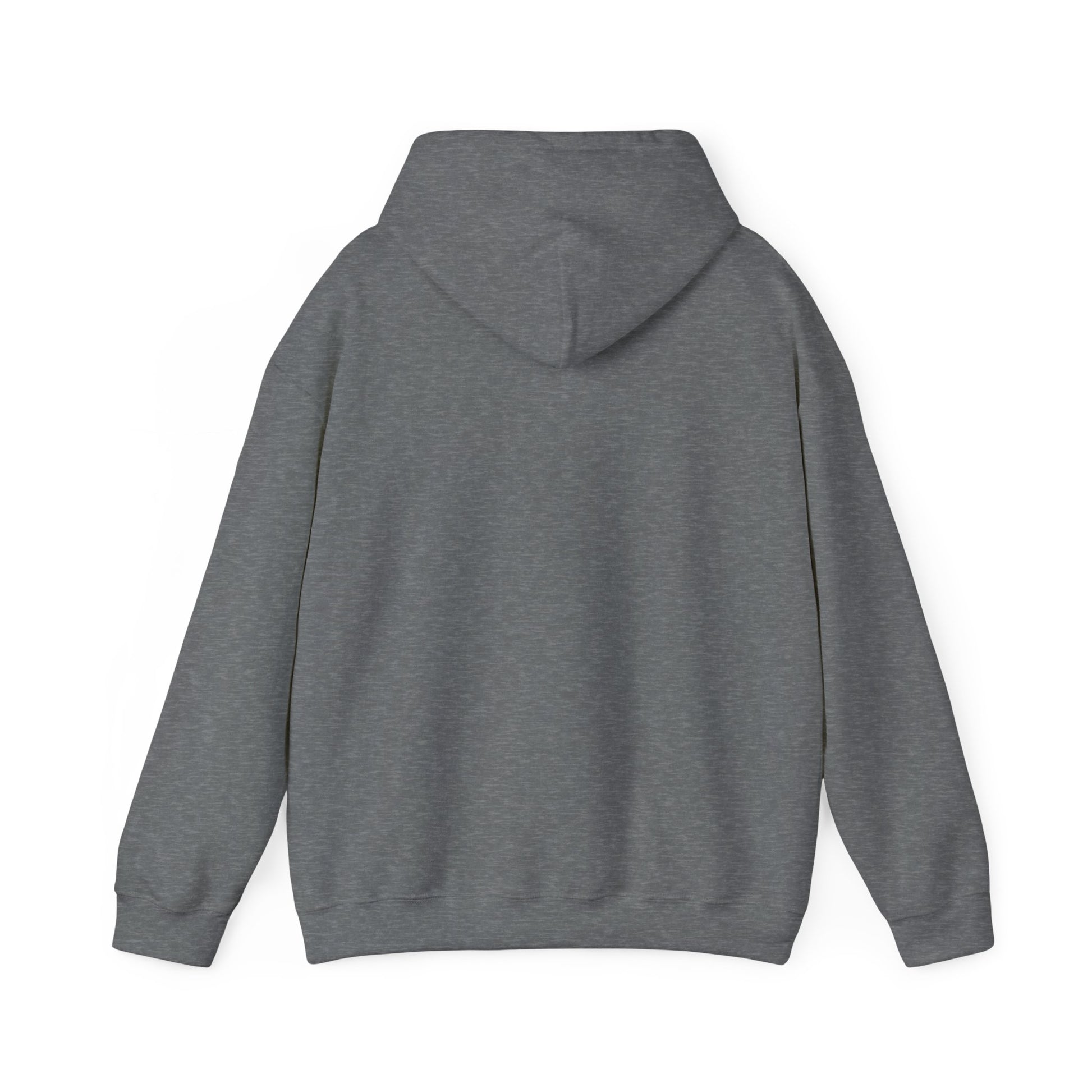 SweatShirt Hoodie For Christian Men Women Hooded Sweatshirt For Christian Mom Dad Apparel Christian Shirt Fashion Bible Verse Shirt