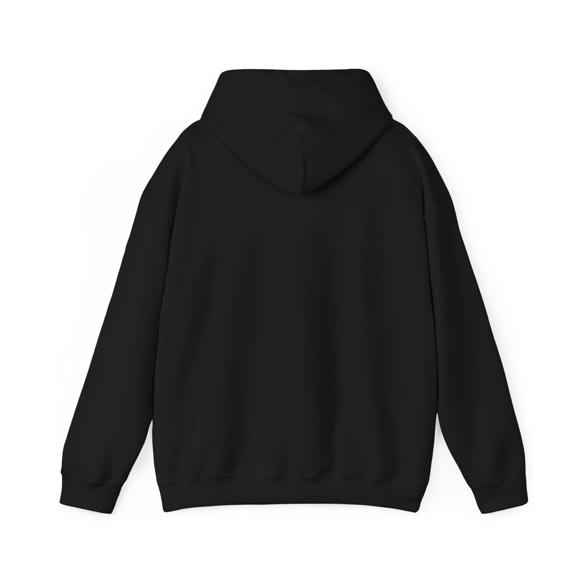 SweatShirt Hoodie For Christian Men Women Hooded Sweatshirt For Christian Mom Dad Apparel Christian Shirt Fashion Bible Verse Shirt