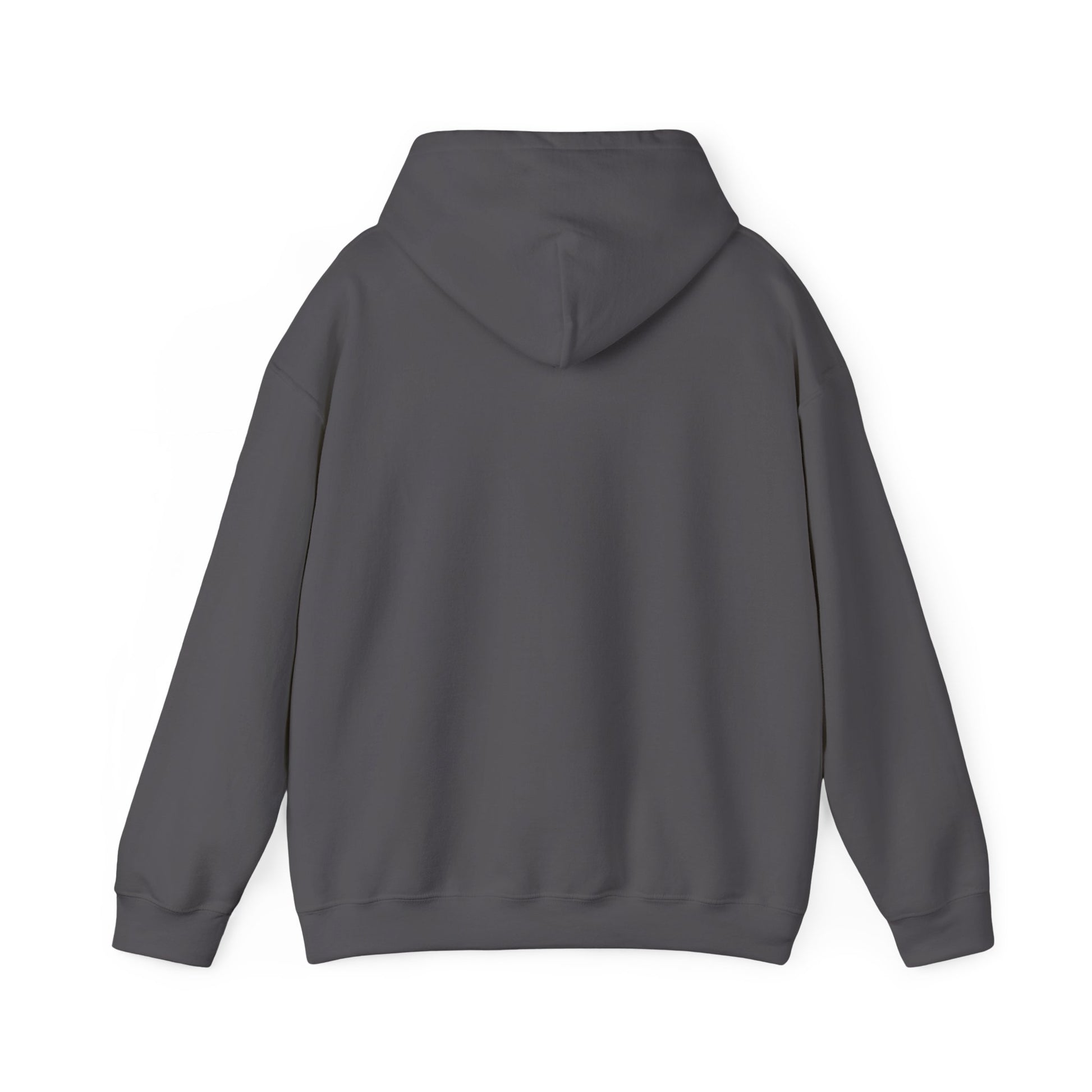 SweatShirt Hoodie For Christian Men Women Hooded Sweatshirt For Christian Mom Dad Apparel Christian Shirt Fashion Bible Verse Shirt