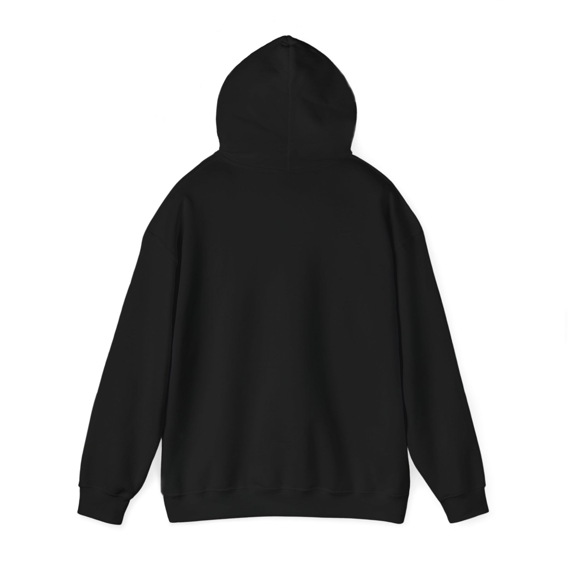 SweatShirt Hoodie For Christian Men Women Hooded Sweatshirt For Christian Mom Dad Apparel Christian Shirt Fashion Bible Verse Shirt