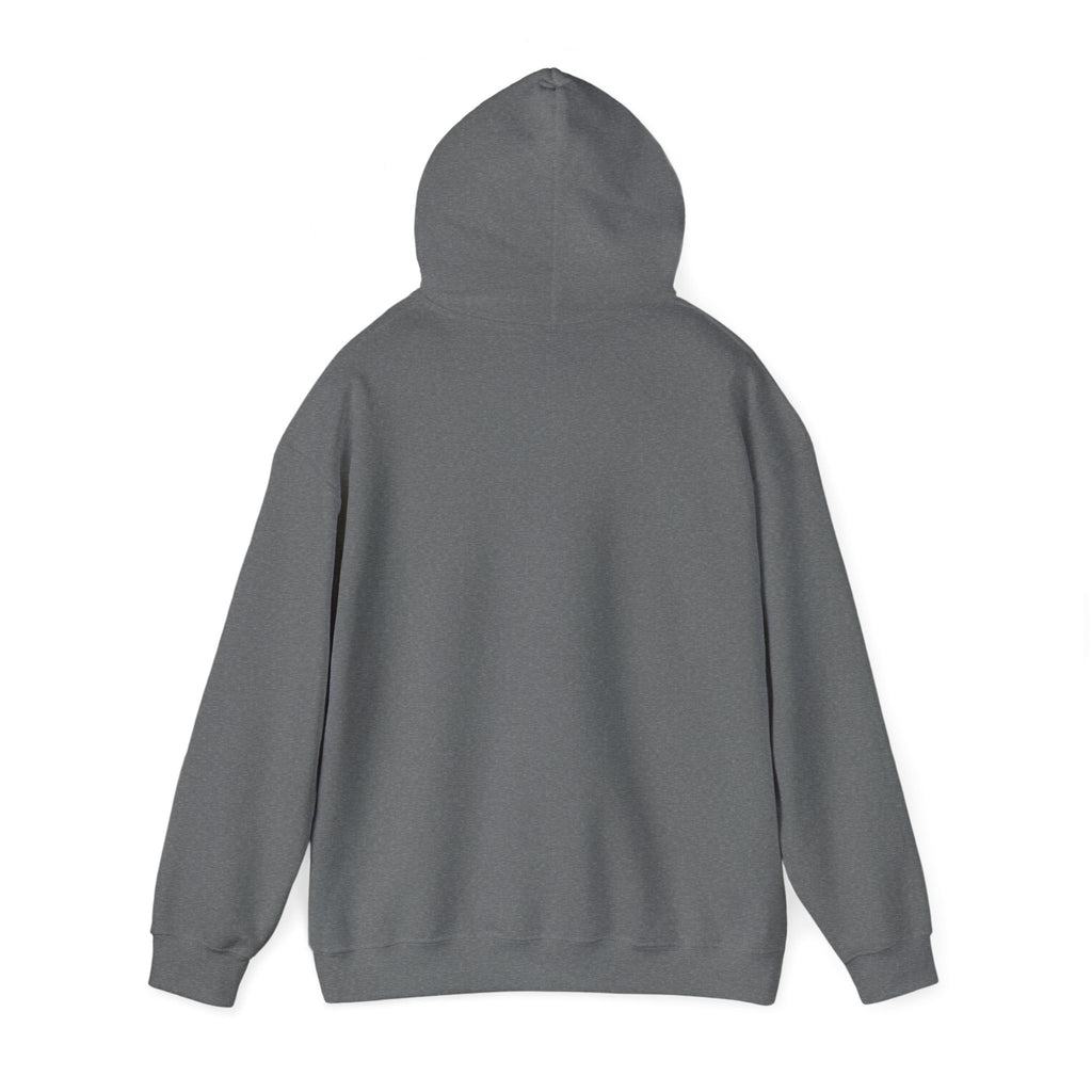 SweatShirt Hoodie For Christian Men Women Hooded Sweatshirt For Christian Mom Dad Apparel Christian Shirt Fashion Bible Verse Shirt