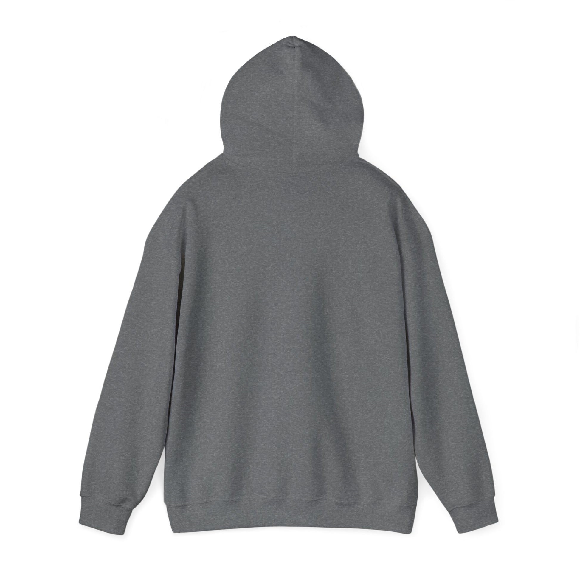 SweatShirt Hoodie For Christian Men Women Hooded Sweatshirt For Christian Mom Dad Apparel Christian Shirt Fashion Bible Verse Shirt