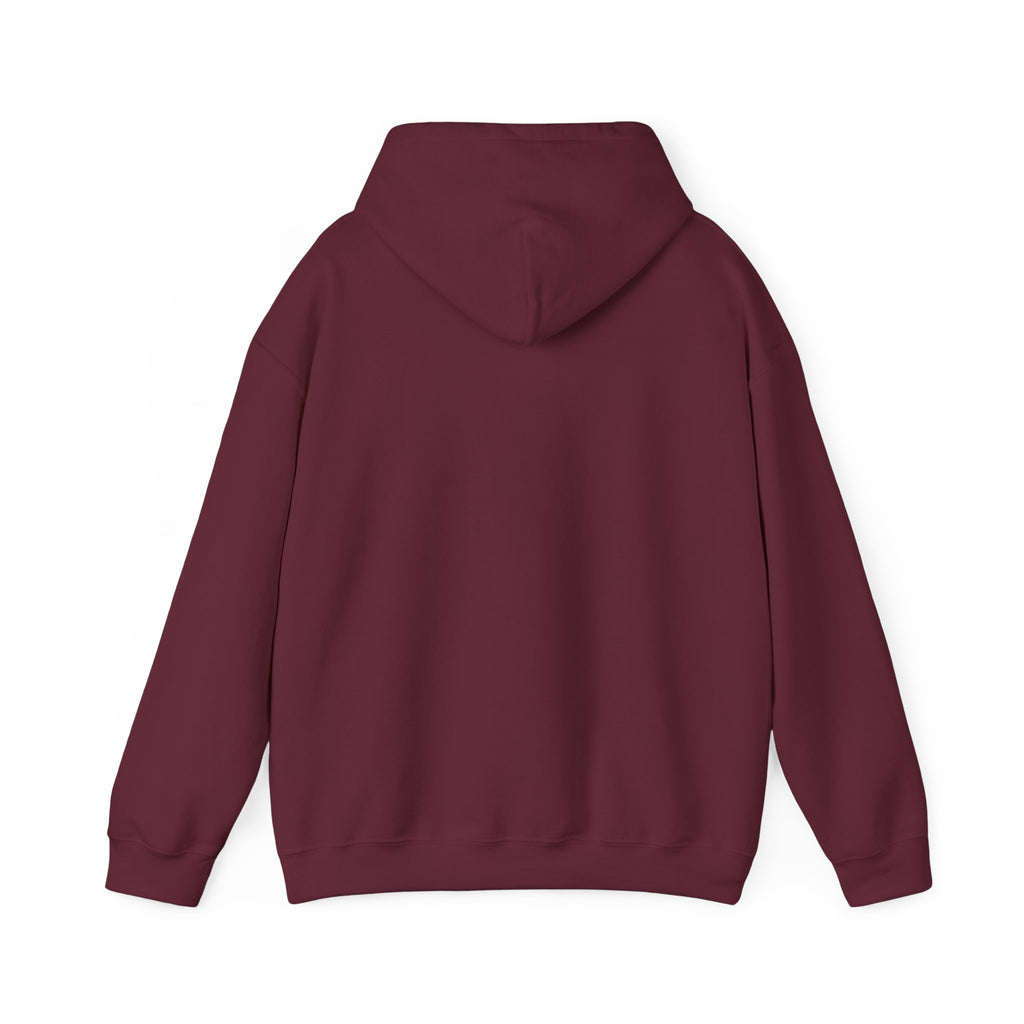 SweatShirt Hoodie For Christian Men Women Hooded Sweatshirt For Christian Mom Dad Apparel Christian Shirt Fashion Bible Verse Shirt