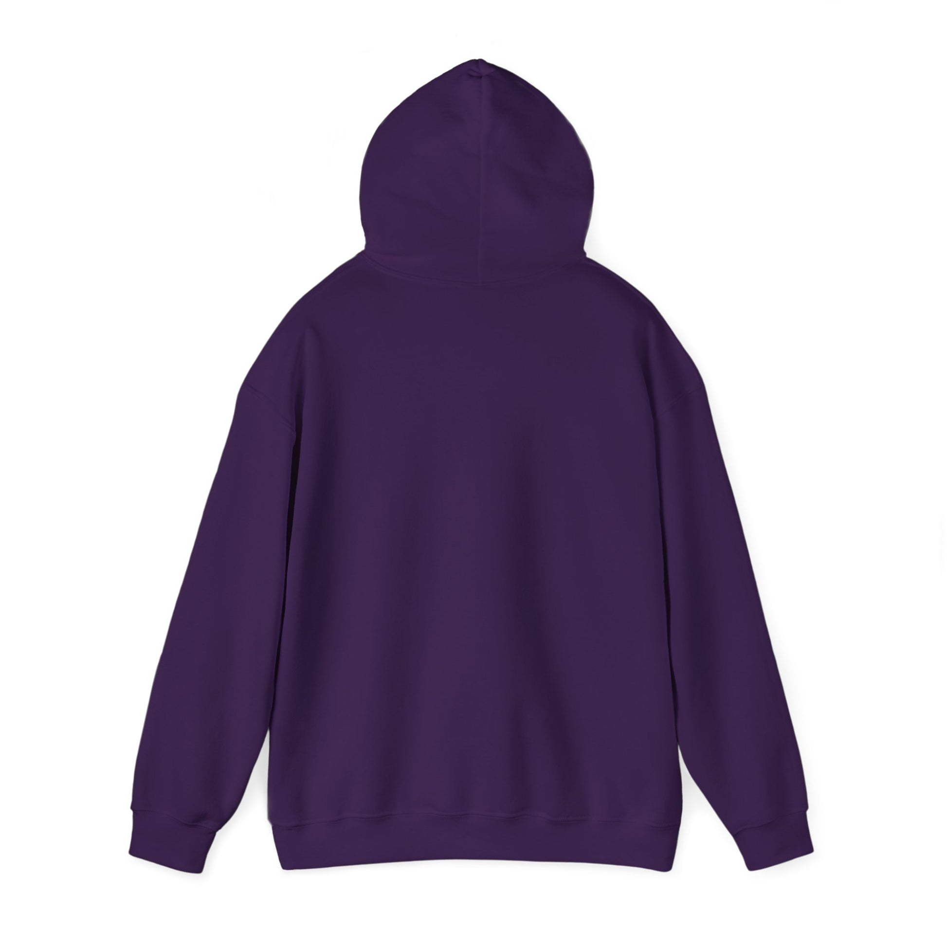 SweatShirt Hoodie For Christian Men Women Hooded Sweatshirt For Christian Mom Dad Apparel Christian Shirt Fashion Bible Verse Shirt