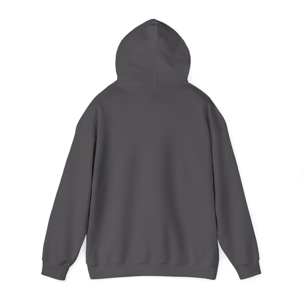 SweatShirt Hoodie For Christian Men Women Hooded Sweatshirt For Christian Mom Dad Apparel Christian Shirt Fashion Bible Verse Shirt