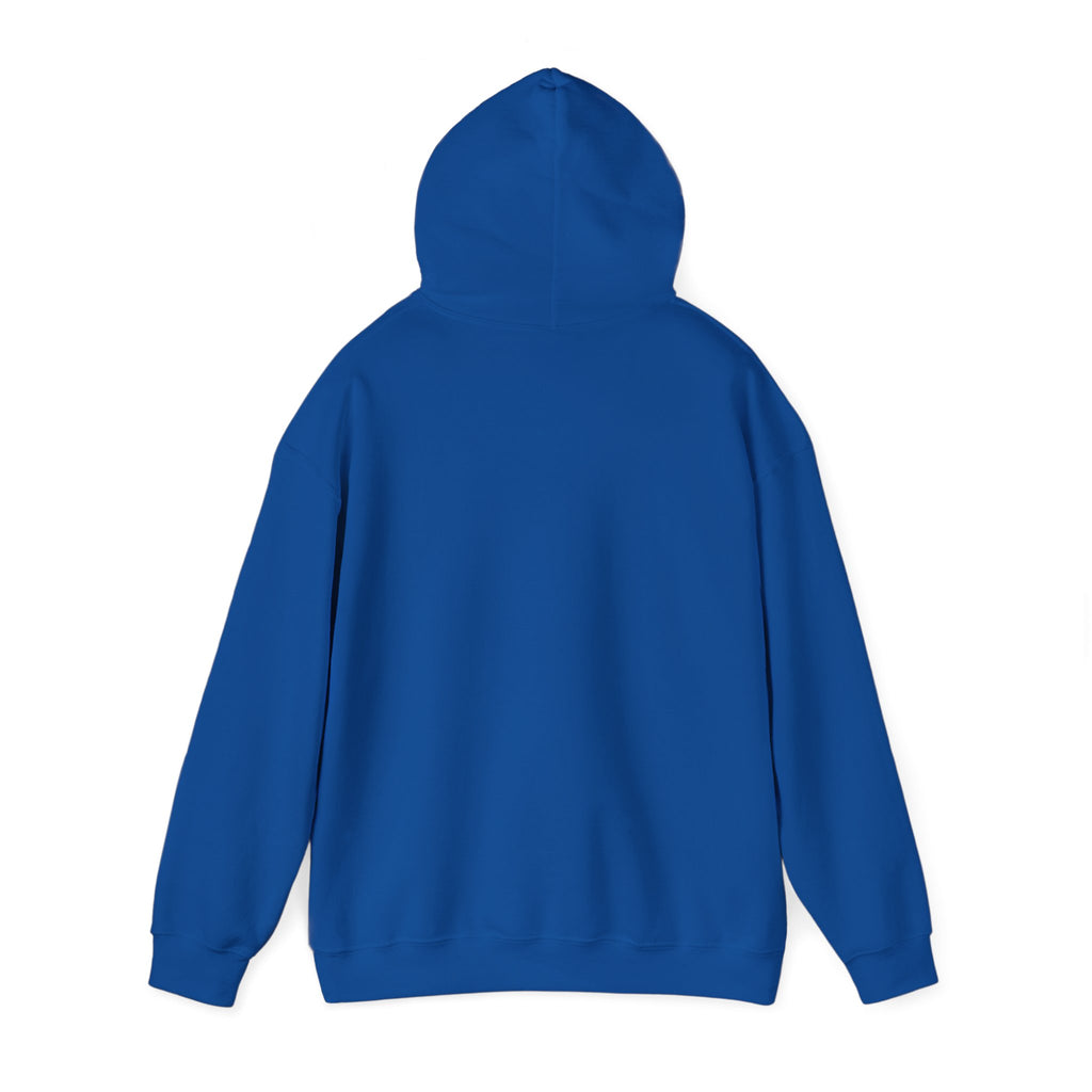 SweatShirt Hoodie For Christian Men Women Hooded Sweatshirt For Christian Mom Dad Apparel Christian Shirt Fashion Bible Verse Shirt