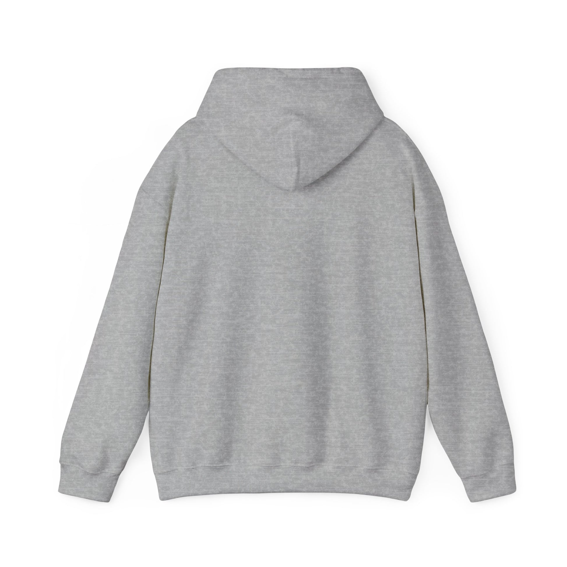 SweatShirt Hoodie For Christian Men Women Hooded Sweatshirt For Christian Mom Dad Apparel Christian Shirt Fashion Bible Verse Shirt