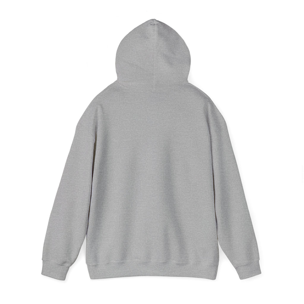 SweatShirt Hoodie For Christian Men Women Hooded Sweatshirt For Christian Mom Dad Apparel Christian Shirt Fashion Bible Verse Shirt