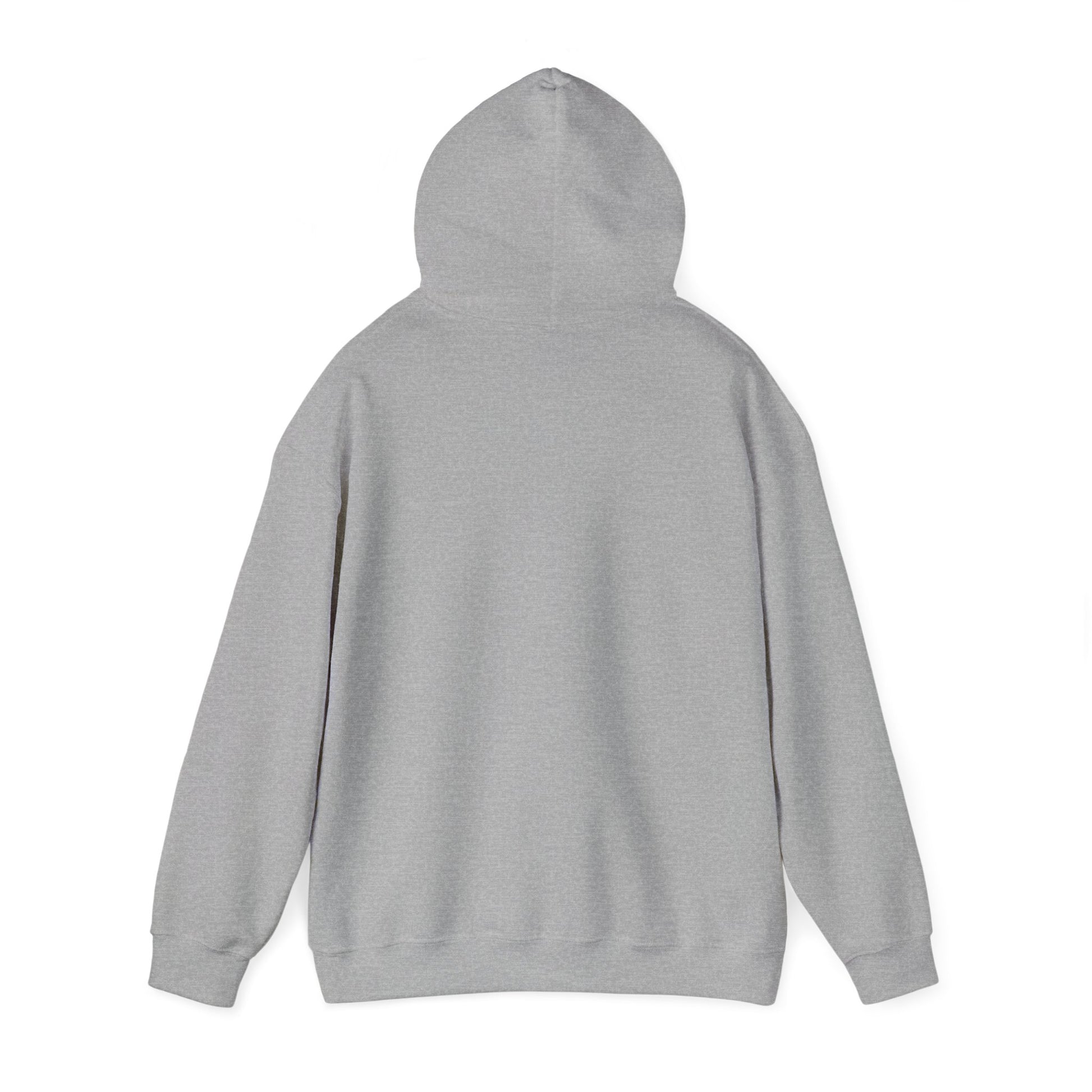 SweatShirt Hoodie For Christian Men Women Hooded Sweatshirt For Christian Mom Dad Apparel Christian Shirt Fashion Bible Verse Shirt