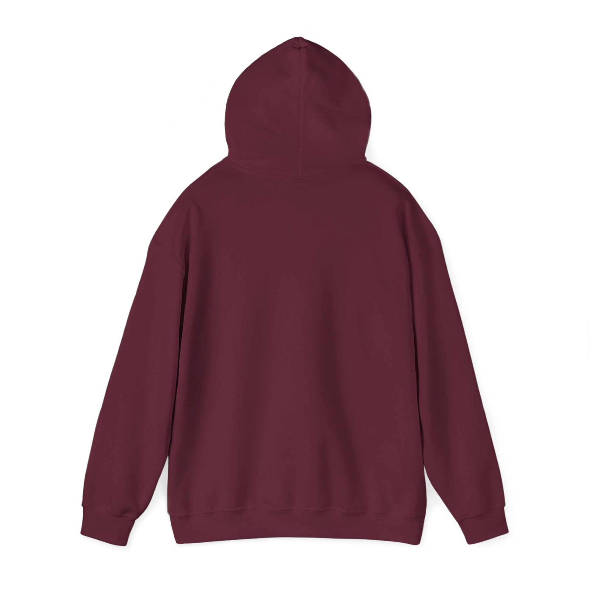 SweatShirt Hoodie For Christian Men Women Hooded Sweatshirt For Christian Mom Dad Apparel Christian Shirt Fashion Bible Verse Shirt